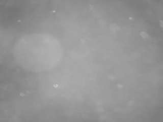 voyeurcam casa salsa pool 1